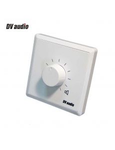 DV audio P-100