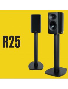 ARCAM R25