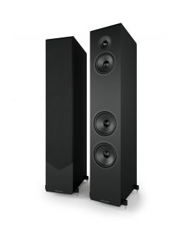 Підлогові колонки Acoustic Energy AE 320