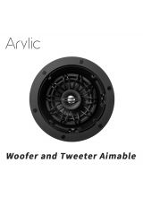 Arylic RK525 (пара)