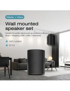 Cloudyx CS-5 Wall mounted speaker