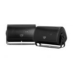 Definitive Technology AW 5500
