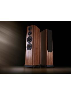 Підлогова акустика Wharfedale EVO 5.4