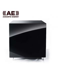 Acoustic Energy 308