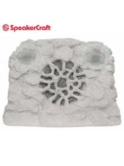 Всепогодна акустика SpeakerCraft Ruckus DT