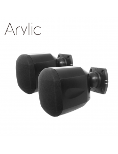 Arylic RK30