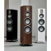 Audiovector QR 7 Підлогова акустика