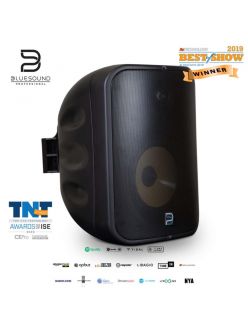Bluesound pro BSP1000 Активный сетевой громкоговоритель