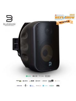 Активний мережевий гучномовець Bluesound pro BSP500