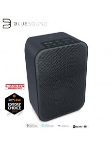 BlueSound PULSE FLEX 2i