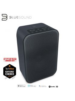 Активна бездротова акустика BlueSound PULSE FLEX 2i