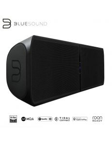 Bluesound Pulse Soundbar Plus