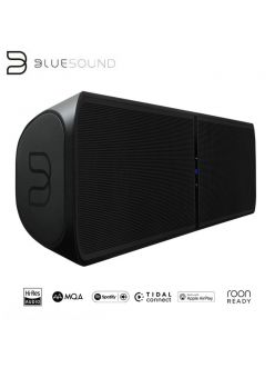 Звуковий проектор (саундбар) BlueSound PULSE SOUNDBAR Plus