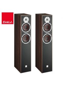 Підлогова акустика DALI Spektor 6