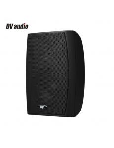 DV audio PB-4.2T IP