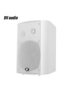 DV audio PB-5.2TW корпусная акустика