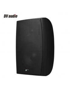 DV audio PB-6.2T IP