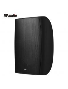 DV audio PB-8.2T IP