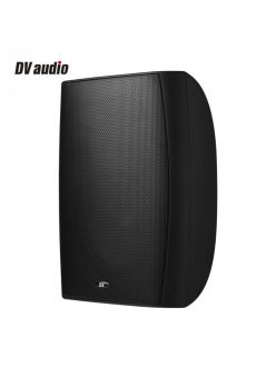 Всепогодна акустика DV audio PB-8.2T IP