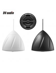 DV audio PS-502T