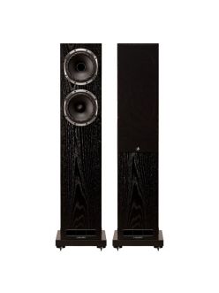Підлогова акустика Fyne Audio F501S Black Oak