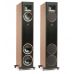 Напольная акустика MartinLogan Motion F20
