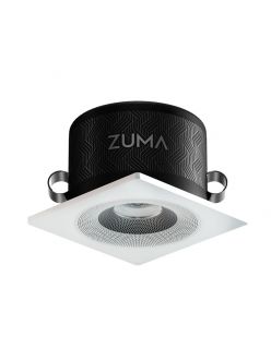 Інтелектуальний світильник Zuma Luminaire