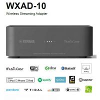 Yamaha WXAD-10: просто добавь Wi-Fi стример MusicCast