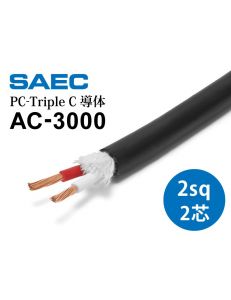 SAEC AC-3000