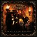 Вінілова платівка Blackmore's Night: Fires At Midnight /2LP