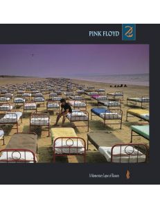 Вініловий диск Pink Floyd: A Momentary Lapse of Reason