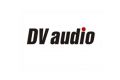 DV audio