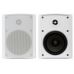 Всепогодна АС SKY SOUND NS-50W/TW