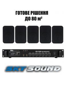 SKY SOUND WS-2405