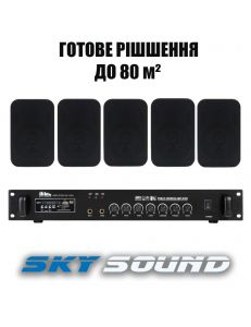 SKY SOUND WS-2405