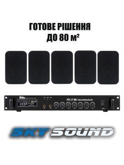 Трансляційний комплект SKY SOUND WS-2405 (до 80 кв.м)