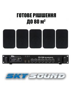 Трансляційний комплект SKY SOUND WS-2405