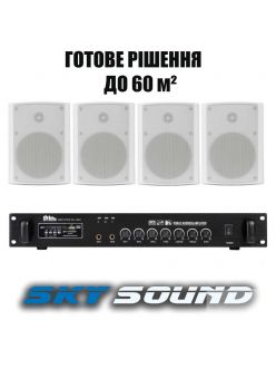 Трансляційний комплект SKY SOUND WS-1034 (до 60 кв.м)