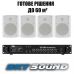 Трансляційний комплект SKY SOUND WS-1034 (до 60 кв.м)