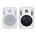 Настінна акустика SKY SOUND PM-2401W/TW