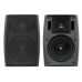 Настенная акустика SKY SOUND LS-45B/TB