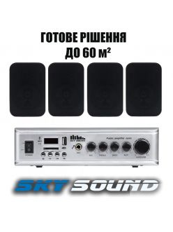 Трансляційний комплект SKY SOUND WSE-1404 BLACK (до 60 кв.м)