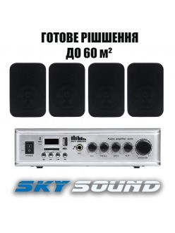 Трансляційний комплект SKY SOUND WSE-1404 BLACK (до 60 кв.м)