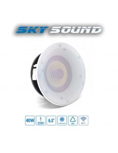 SKY SOUND FLC-766+BT+WI-FI