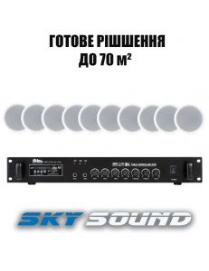 SKY SOUND CS-3110