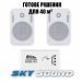 Трансляционный комплект SKY SOUND BT-2402 (до 40 кв.м.)