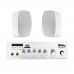 SKY SOUND WMS-4022 WHITE Акустический комплект (до 40 кв.м)