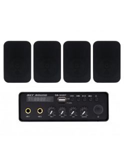 Трансляционный комплект SKY SOUND SMP-1424 BLACK (до 60 кв.м.)