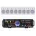 SKY SOUND WSM-2408 WHITE Акустичний комплект