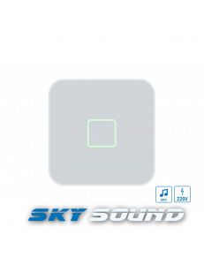 SKY SOUND WI-FI CASE PRO